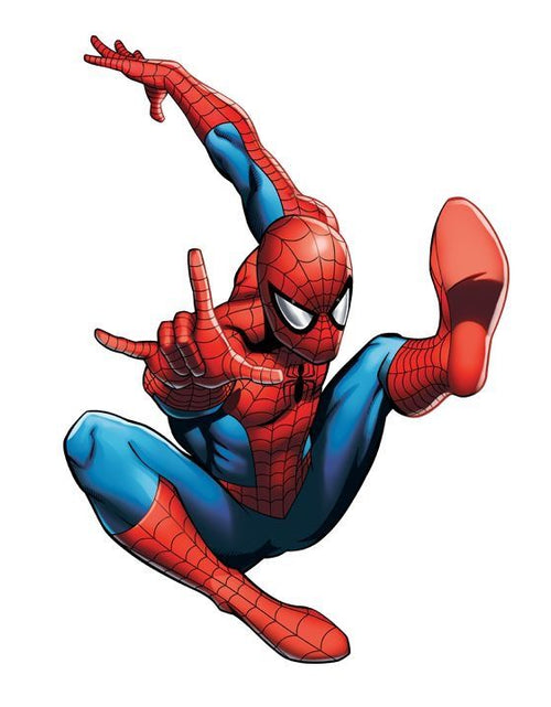Load image into Gallery viewer, spiderman poster
