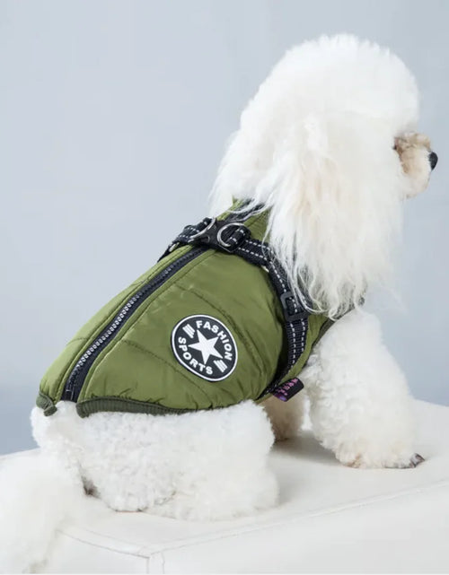 Load image into Gallery viewer, Padded Ski Vest For Pets
