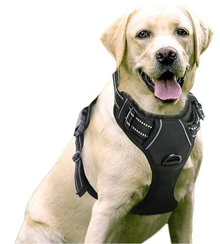 Chest And Back Breathable Reflective Dog Vest