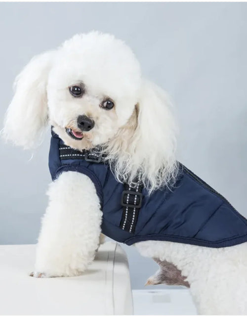 Load image into Gallery viewer, Padded Ski Vest For Pets
