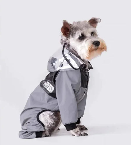 Paw Chic Personalized Raincoat