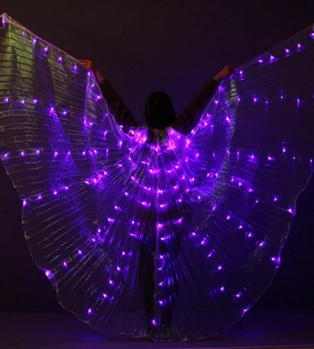 Kid and Adult LED Colorful Butterflies Wings With Telescopic Stick