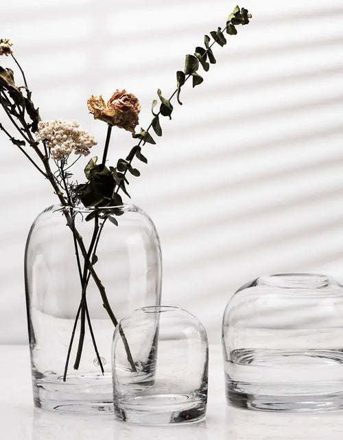 Load image into Gallery viewer, European Style Simple Vase Creative INS Glass Flower Ware
