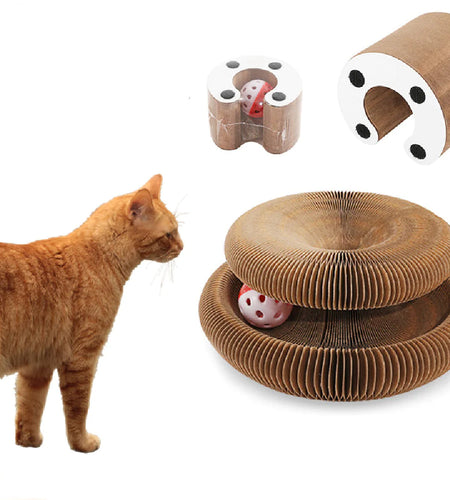 Magic Organ Cat Scratcher