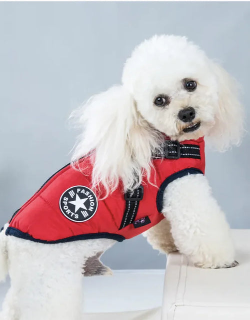 Load image into Gallery viewer, Padded Ski Vest For Pets
