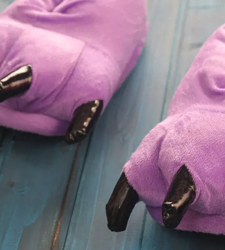 Dinosaur Paw Funny Slippers for Men Women Kids