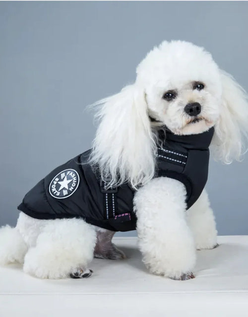 Load image into Gallery viewer, Padded Ski Vest For Pets
