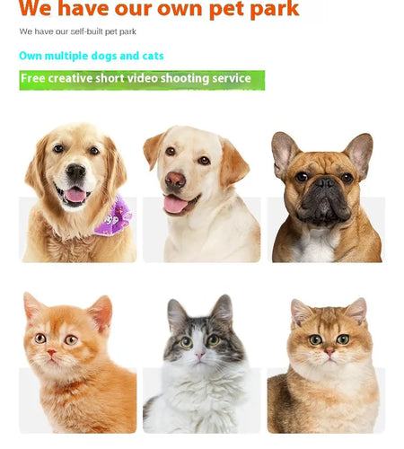 Molar Teeth Cleaning New Dog Rope Bite Ball