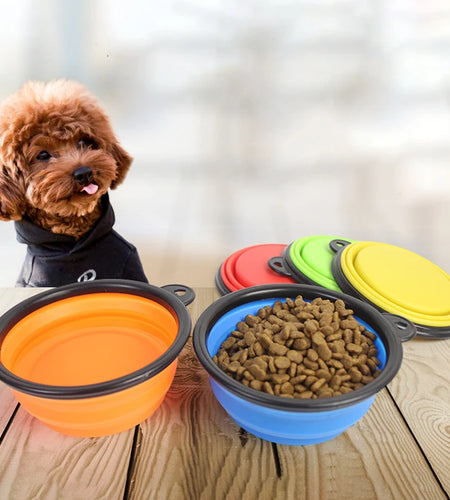 Pet Folding Silicone Bowl