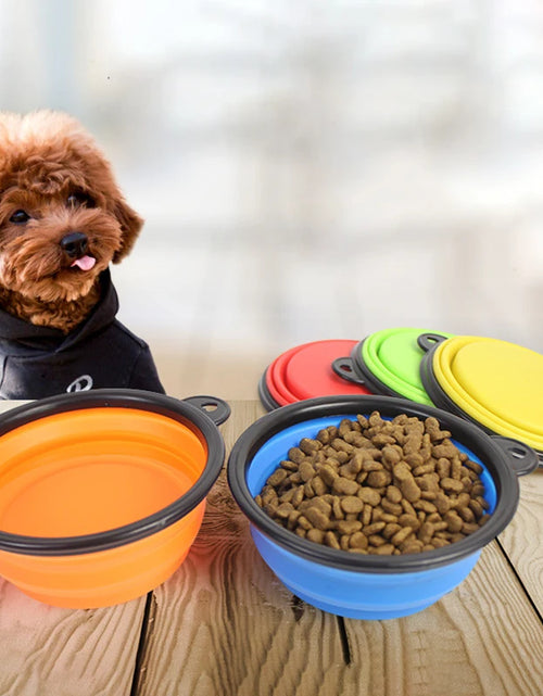 Load image into Gallery viewer, Pet Folding Silicone Bowl
