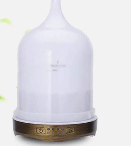 Portable Air Purifier