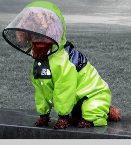 Paw Chic Personalized Raincoat