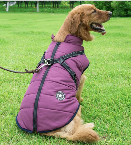 Reflective Waterproof Dog Coat for Autumn and Winter