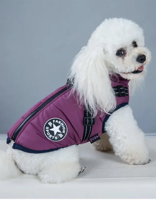 Load image into Gallery viewer, Padded Ski Vest For Pets
