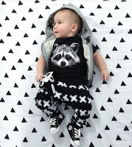 Boys Racoon 2Pieces Set