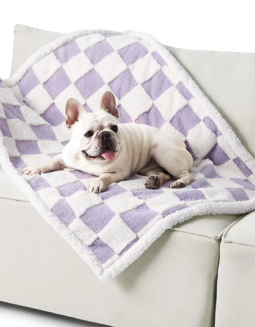 Load image into Gallery viewer, Pet Waterproof Blanket Shu Cotton Thickened
