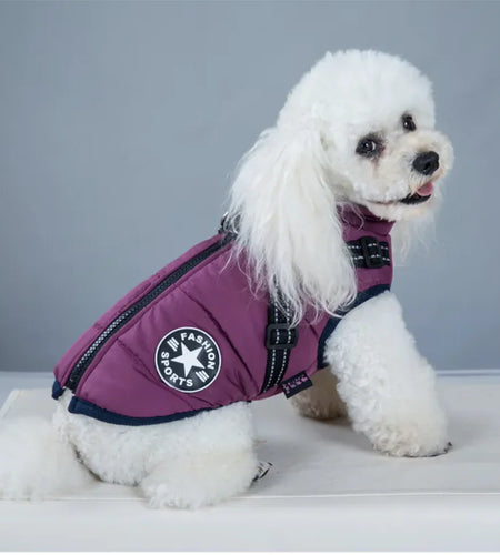 Padded Ski Vest For Pets