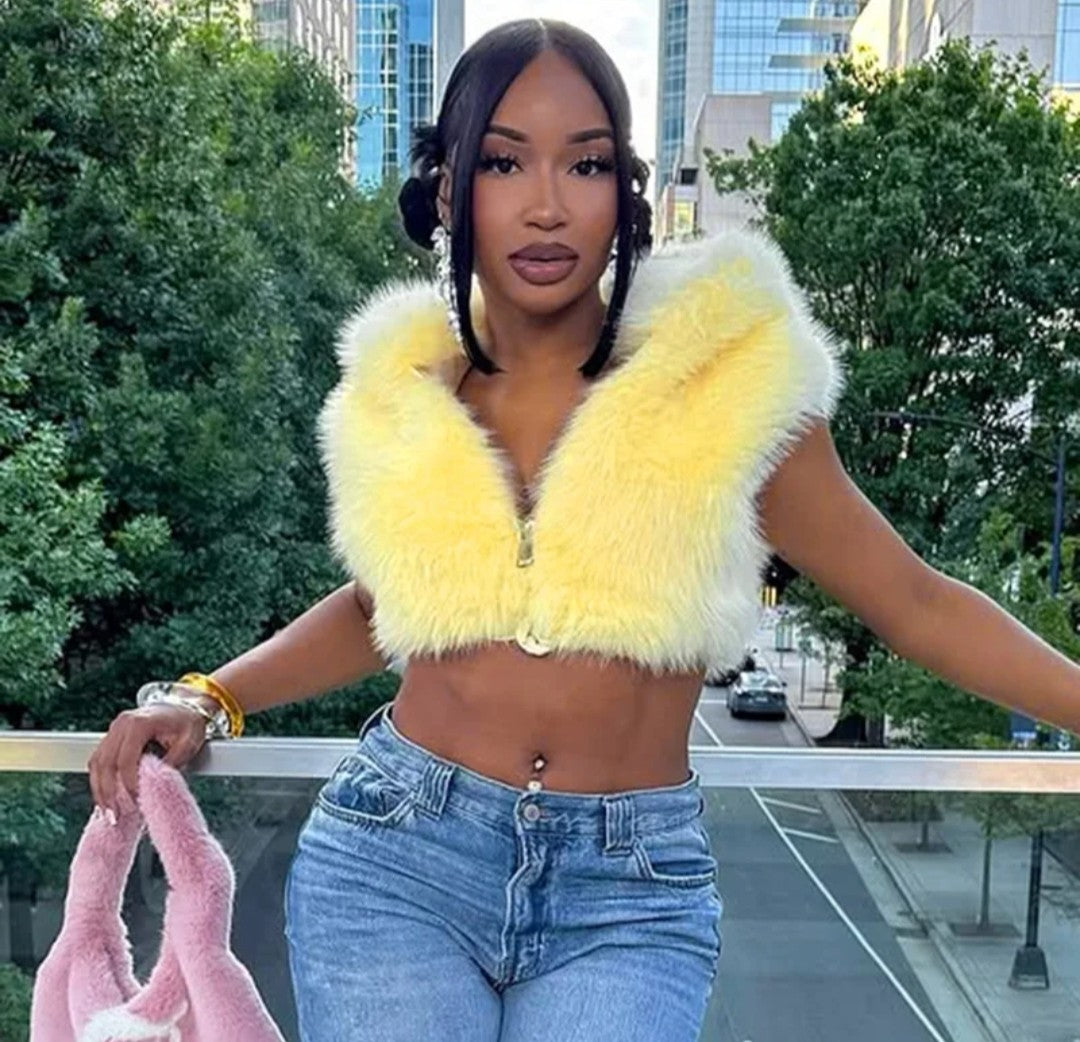 (Free Shipping)(Tariffs included in price) Women's fall winter hooded plush fur vest jacket