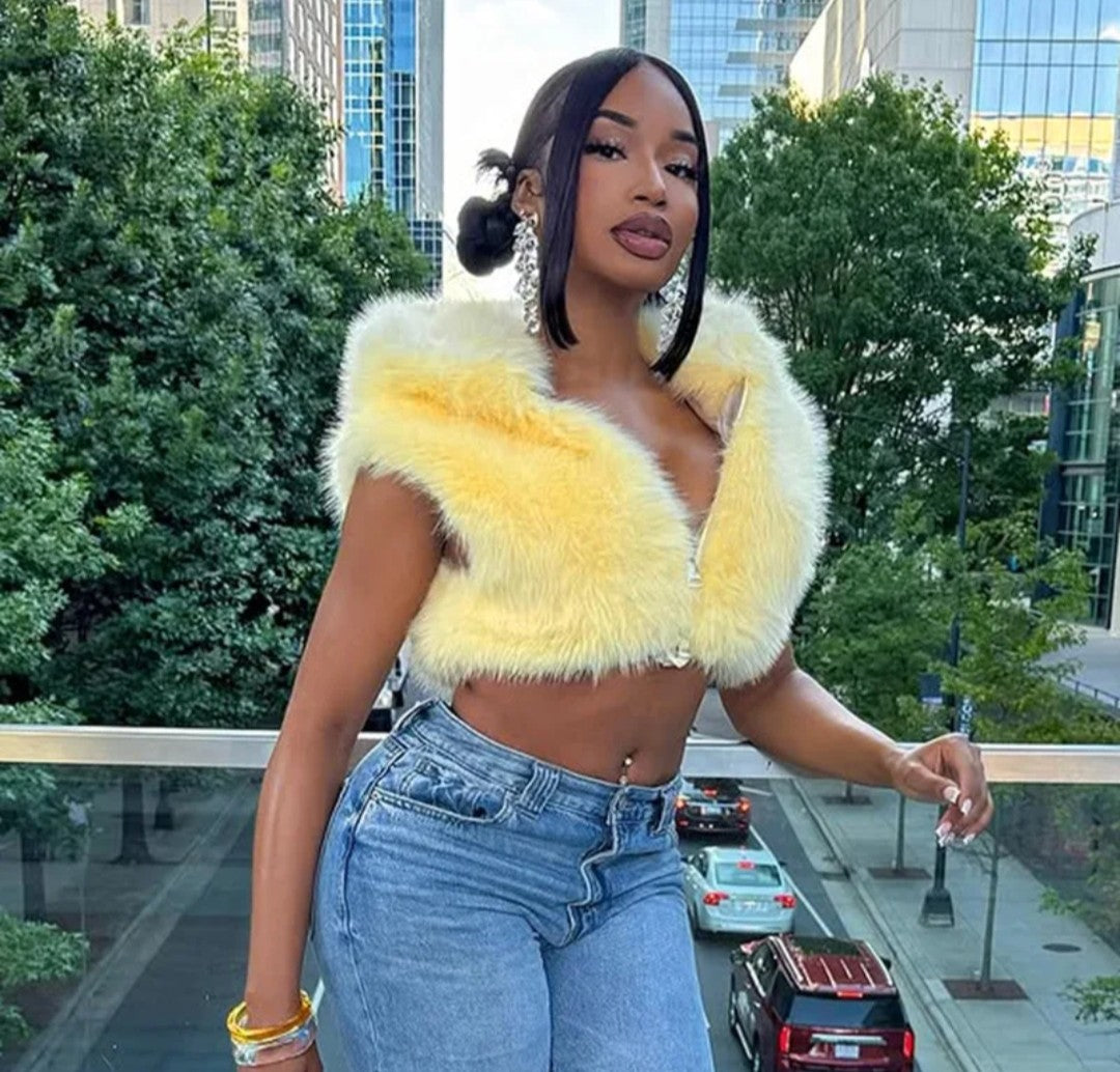 (Free Shipping)(Tariffs included in price) Women's fall winter hooded plush fur vest jacket