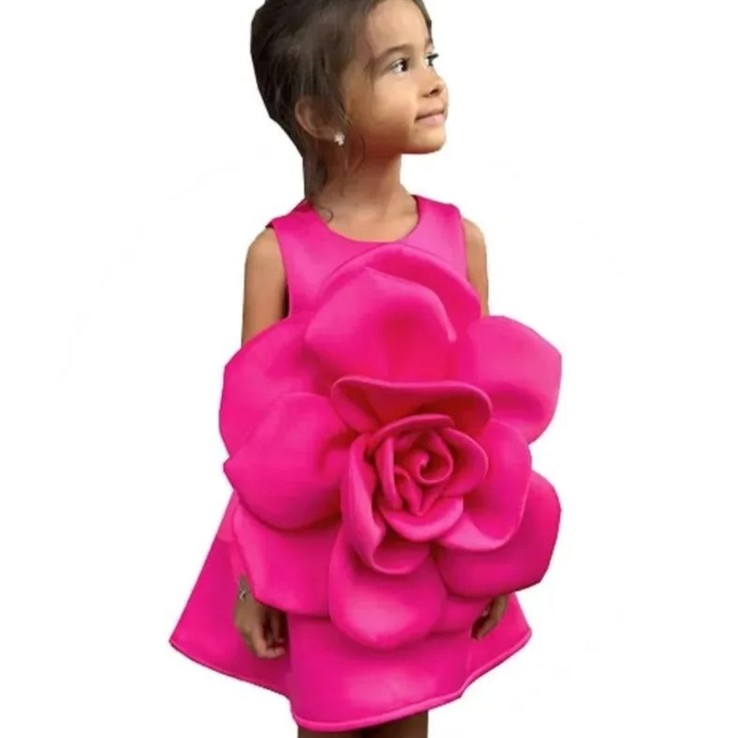(Free Shipping)(Tariffs included in price) Kids Summer Flower Princess Dress Sleeveless Party Wear