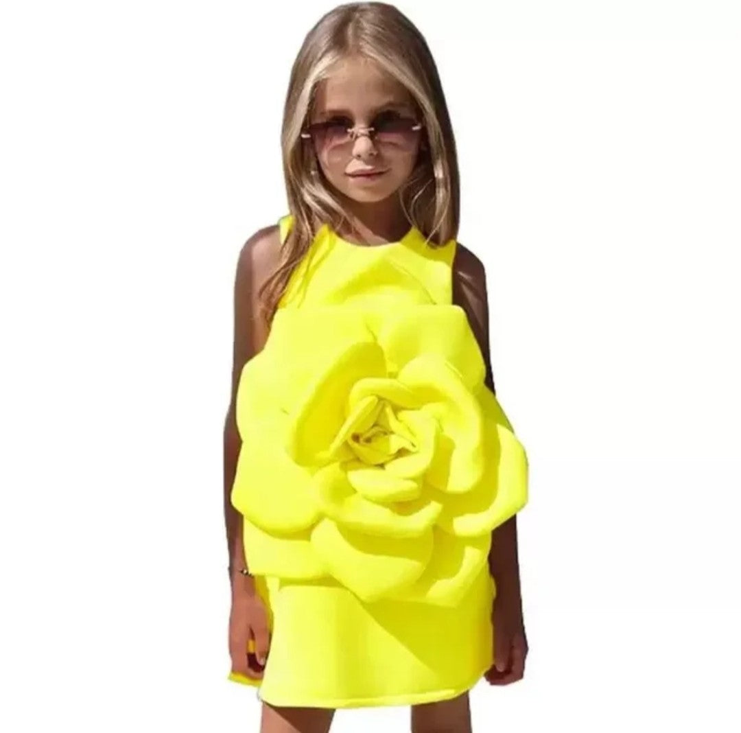 (Free Shipping)(Tariffs included in price) Kids Summer Flower Princess Dress Sleeveless Party Wear