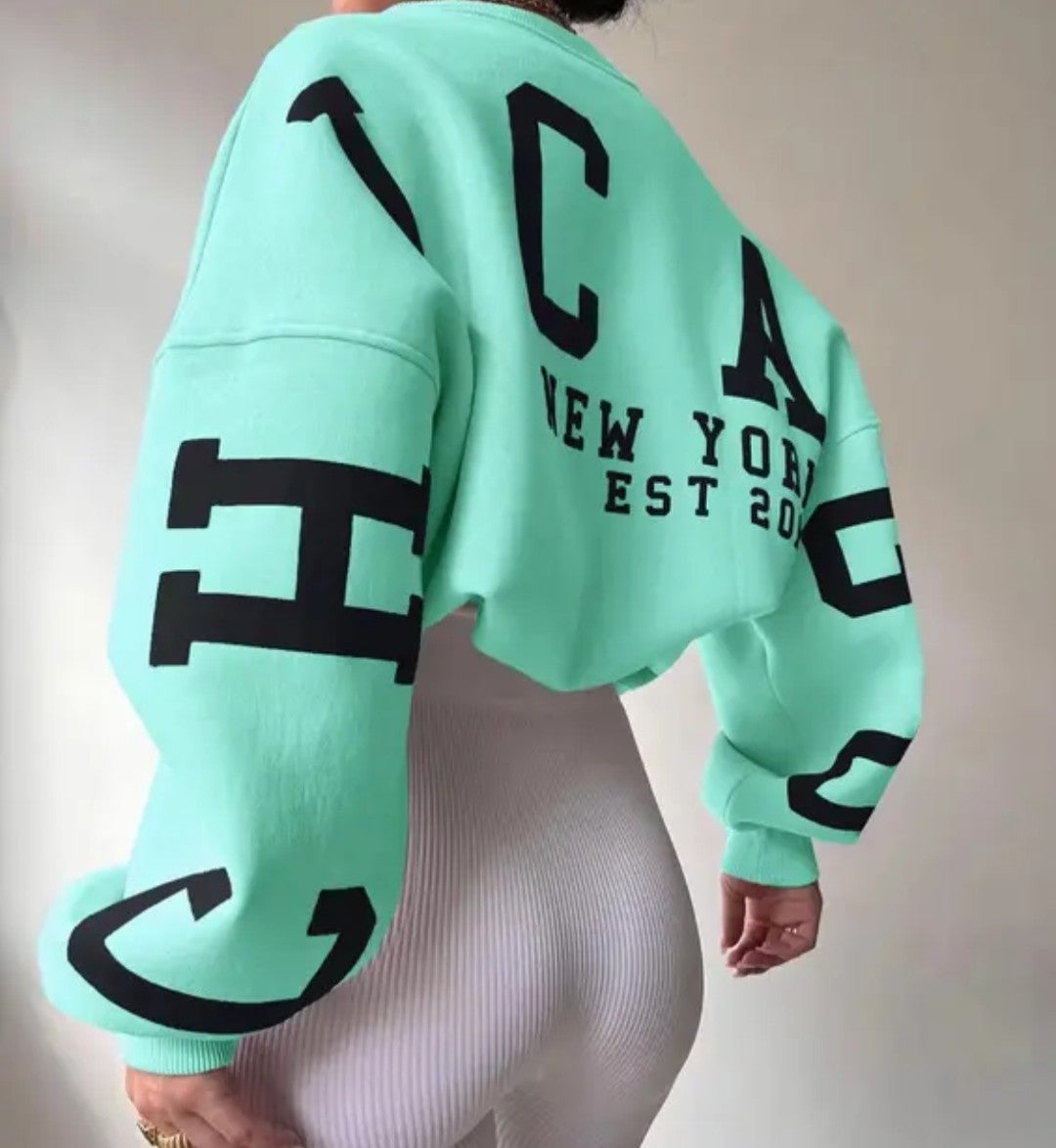 (Free Shipping)(Tariffs included in price)Streetwear Women's Unisex Sweatshirt Printed Long Sleeve Crewneck