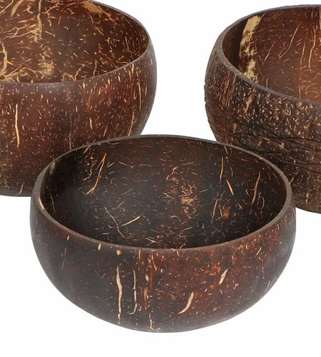 Coconut Shell Food Container Set