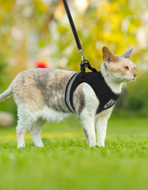 Load image into Gallery viewer, CozyCat Pet Harness and Leash
