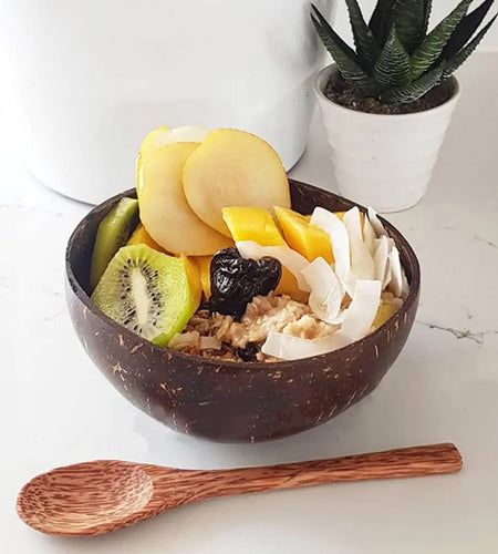 Coconut Shell Food Container Set