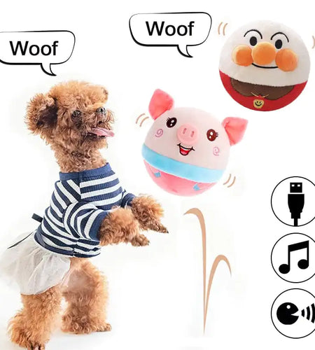 PetPalz: Interactive Talking Ball for Pets