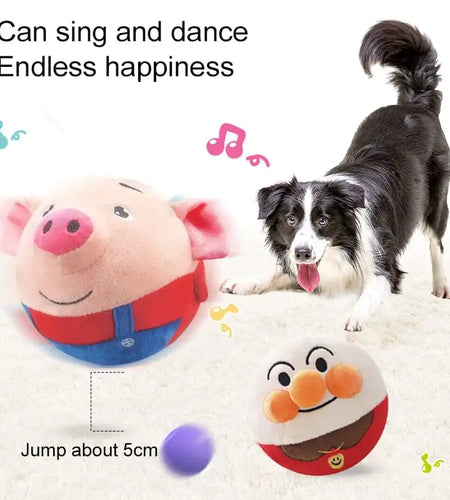 PetPalz: Interactive Talking Ball for Pets