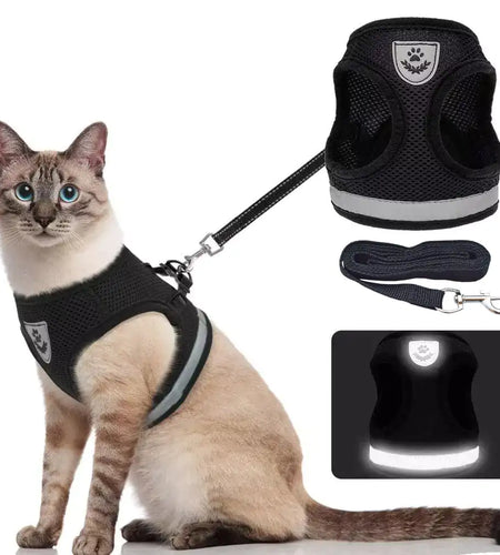 CozyCat Pet Harness and Leash