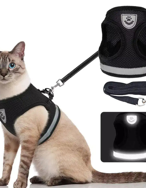 Load image into Gallery viewer, CozyCat Pet Harness and Leash
