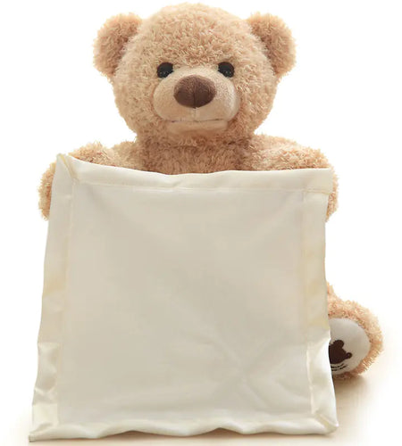 Bear Hide and Seek Toy